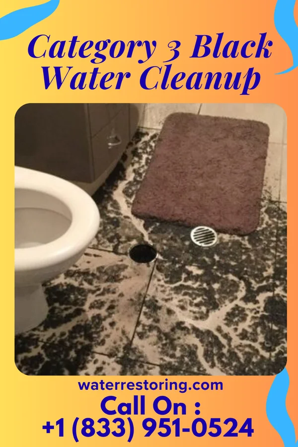 Category 3 Black Water Cleanup in Glenview Hills, KY
