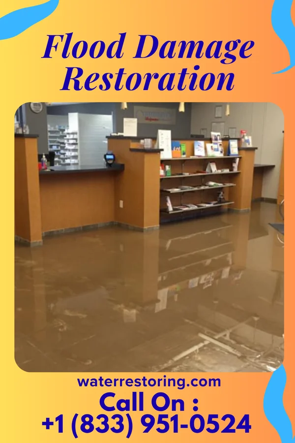 Flood Damage Restoration in Glenview Hills, KY